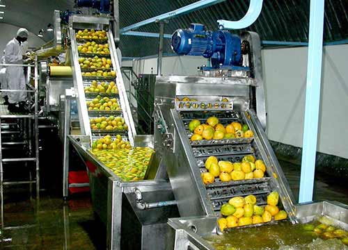 Fruit Washer in Pune